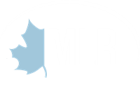 MLR