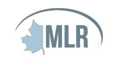 MLR