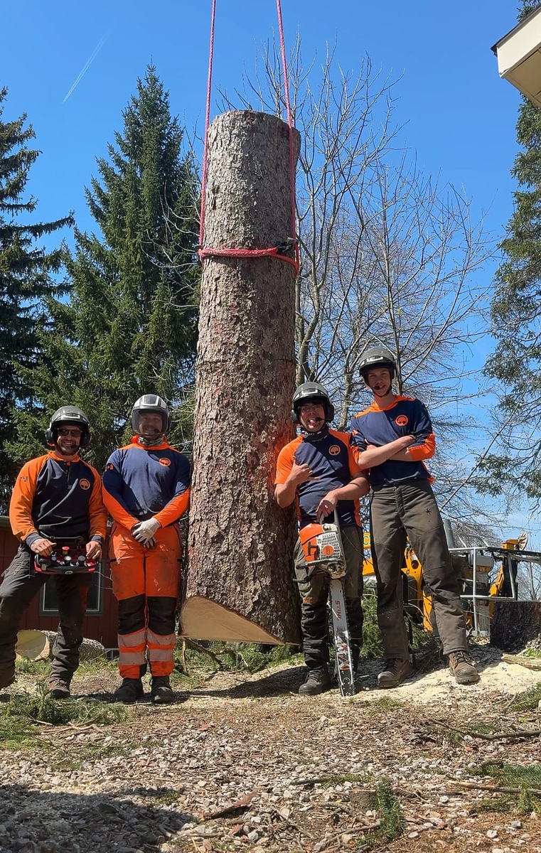 Guess the Weight Tree 2026