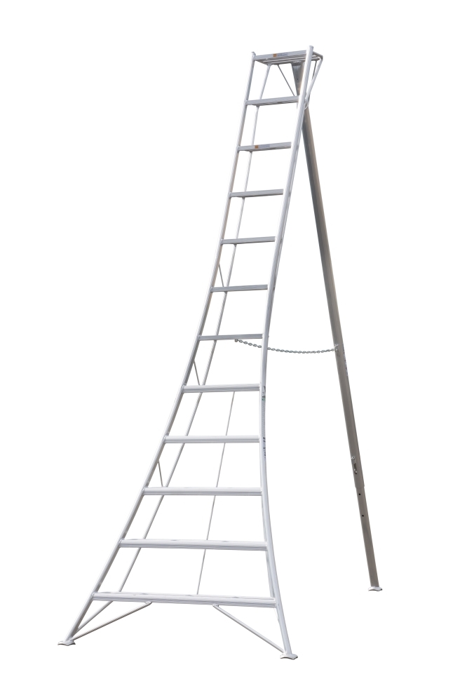 Ladders