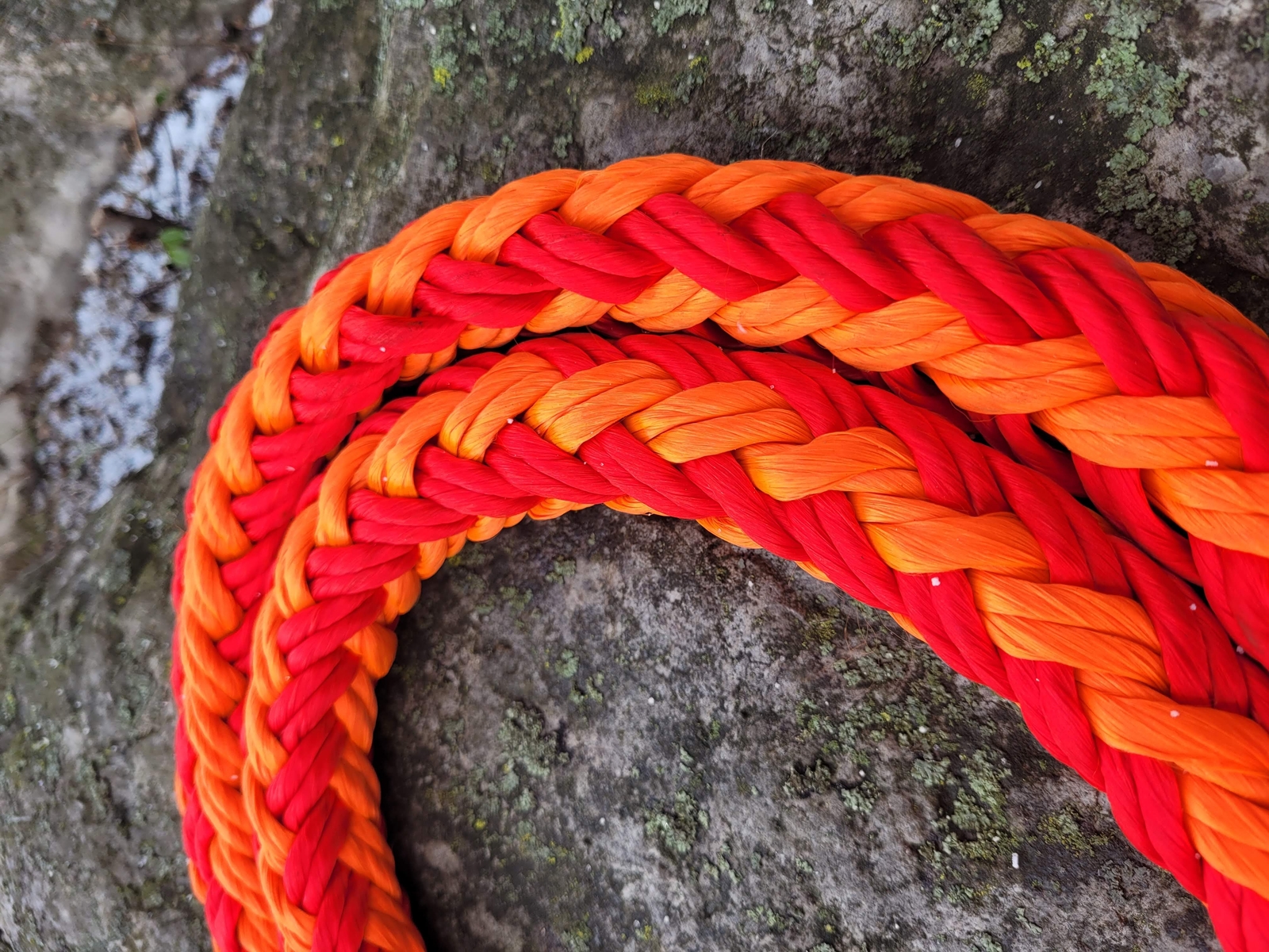 Polyester 12x2 Strand High Tenacity (Urethane Coated)