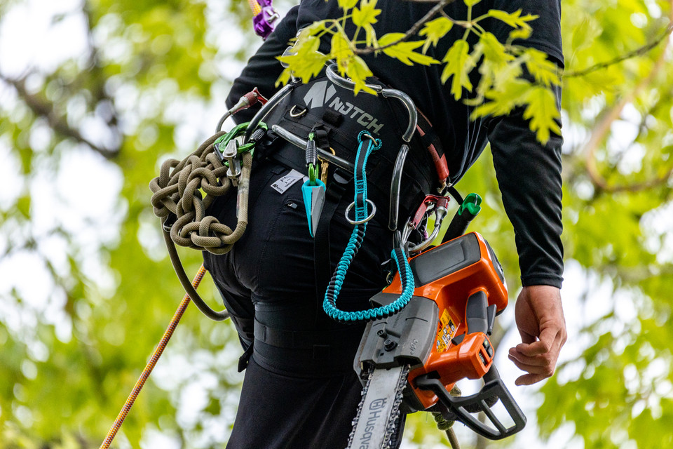 Notch Quick Cinch Chainsaw Lanyard - Lowest prices & free shipping