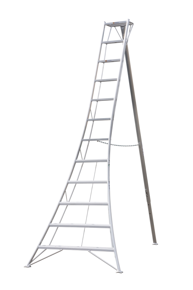 Orchard Ladders