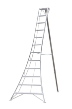 Orchard Ladders