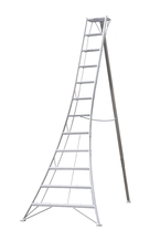 Orchard Ladders