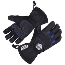 Winter Gloves
