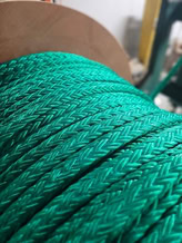 Polyester 12x2 Strand High Tenacity (Urethane Coated)