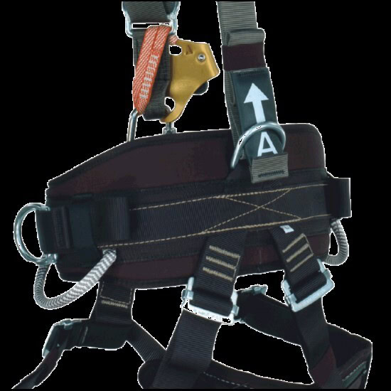 Yates Fast Ropes Yates 387P Rope Access Professional Harness - Lowest prices & free ...