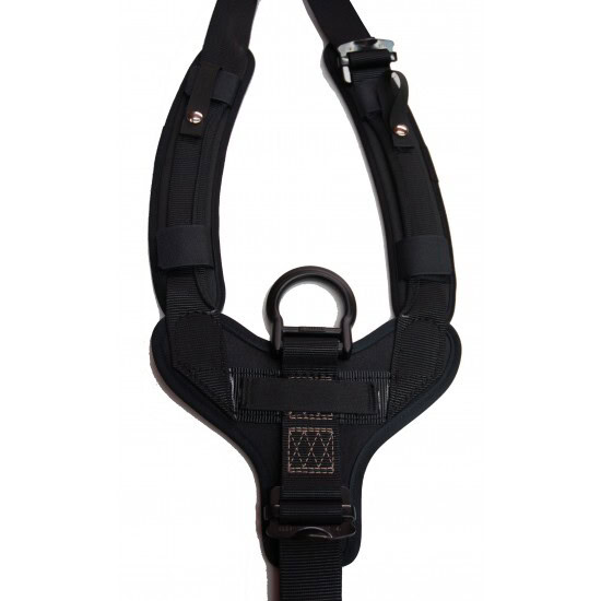 Yates Fast Ropes Yates 387P Rope Access Professional Harness - Lowest prices & free ...