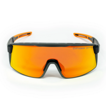 Safety Glasses