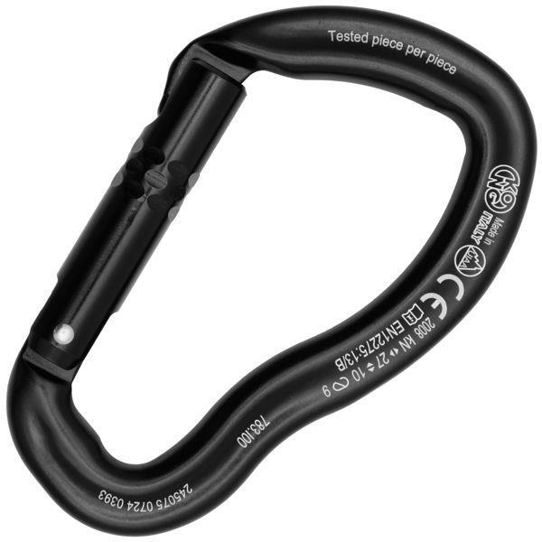 Kong Ergo