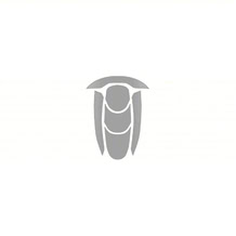 Helmets & Hearing Protection