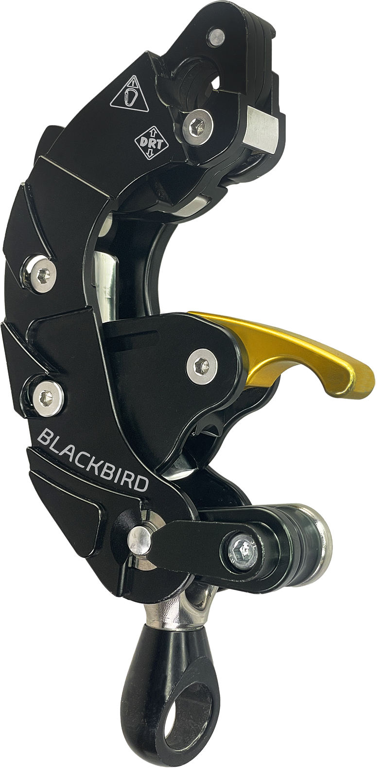 ART Blackbird