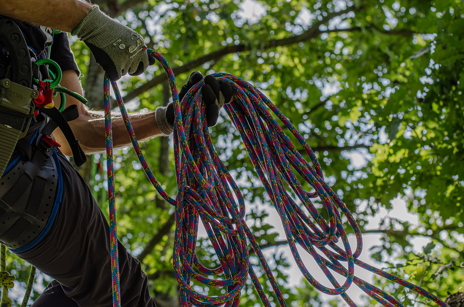 Teufelberger Gravity ropes - Lowest prices, free shipping | Maple Leaf ...