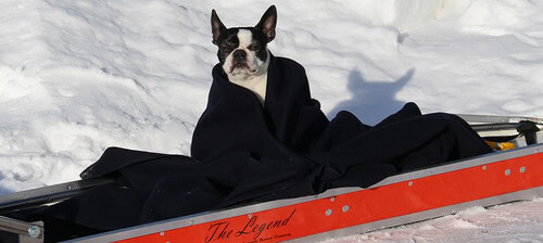 Cascade Rescue Wool Blanket