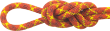 Teufelberger (Maxim) Apex Dynamic Rope -9.9 mm Terra Cotta / STD-DRY