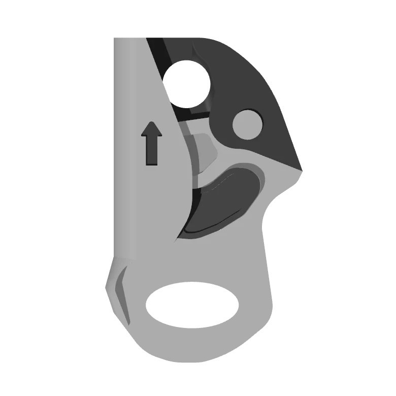 RigBoard Basic Ascender