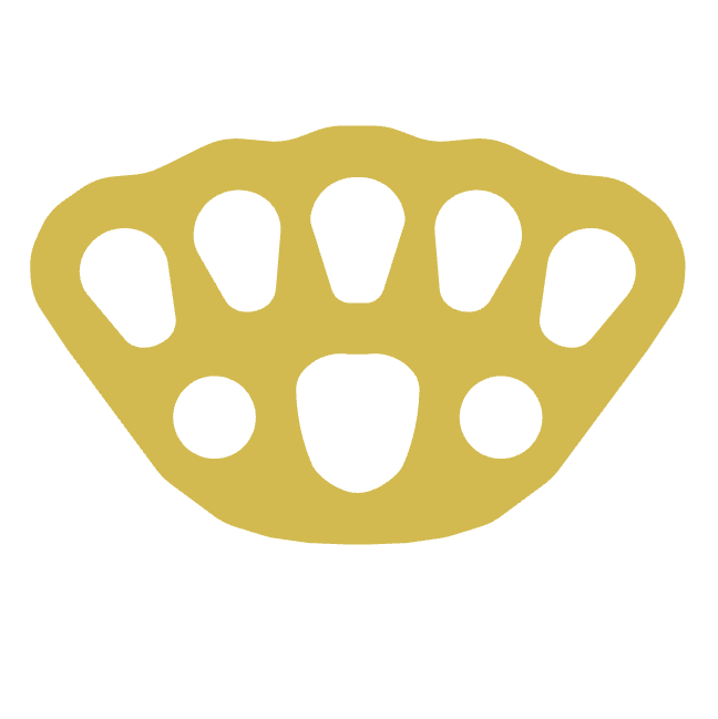 RigBoard Medium Rig Plate
