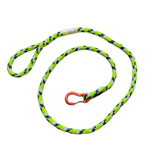 Dog Leashes