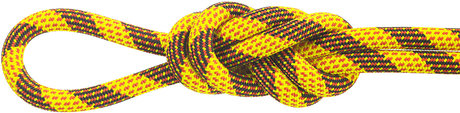 Maxim Pinnacle Dynamic Rope ropes - Lowest prices, free shipping ...