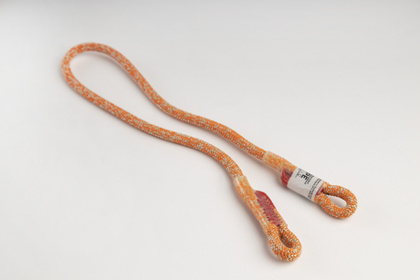 Eye & Eyes / Split Tails