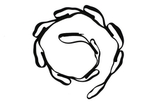 CMI DAISYCHAIN - CMI DAISYCHAIN