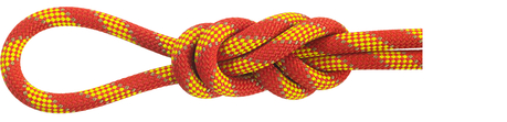 Maxim Ropes