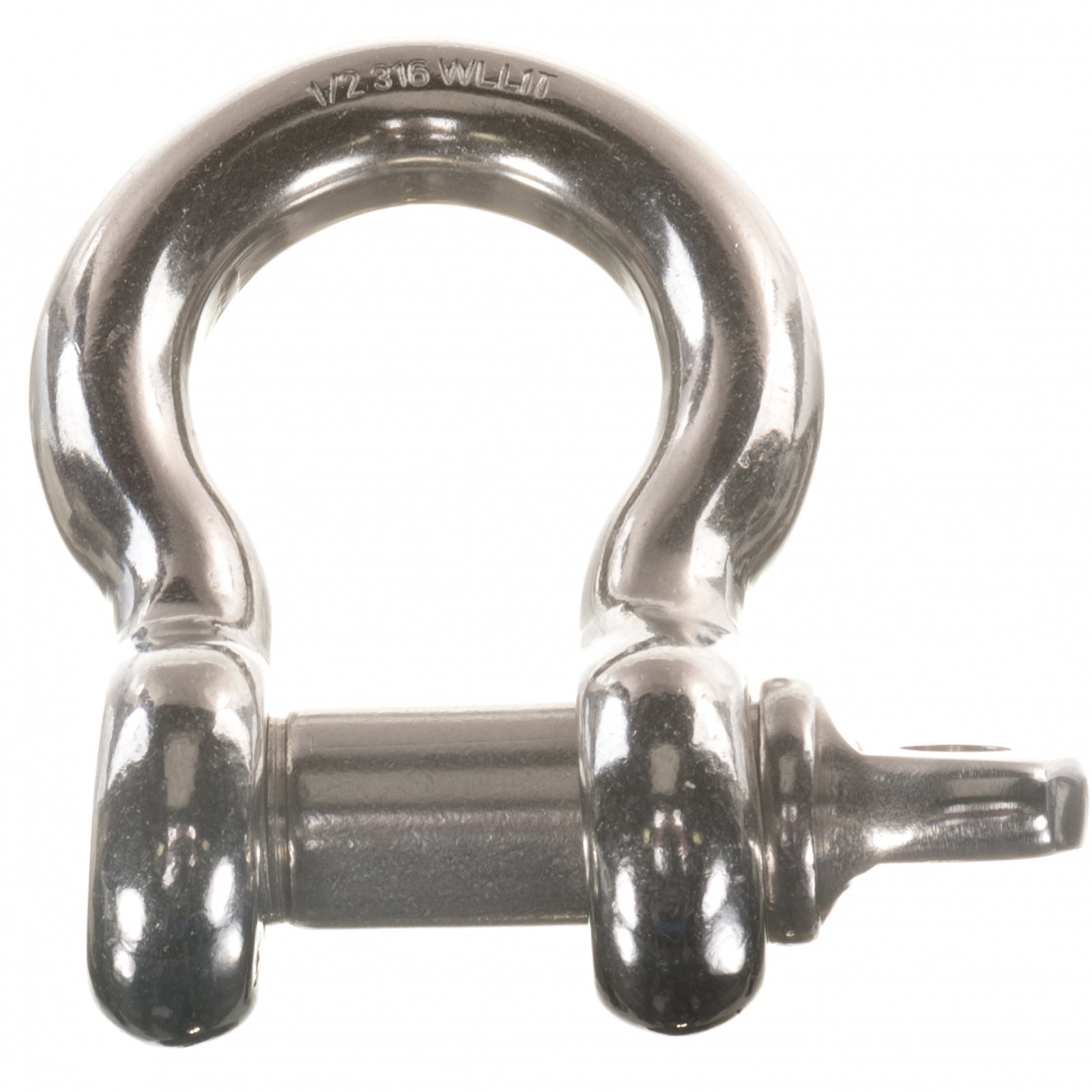 Stainless Screw Pin Anchor Shackles