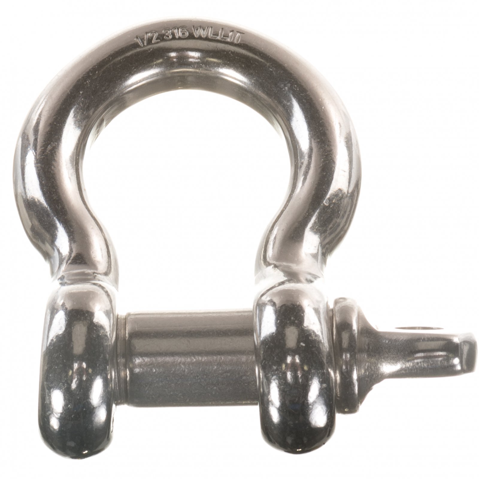 Stainless Screw Pin Anchor Shackles