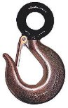 Hoist Hooks