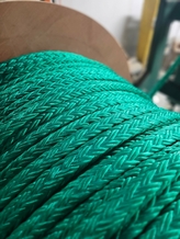 Polyester 12x2 Strand High Tenacity (Urethane Coated)