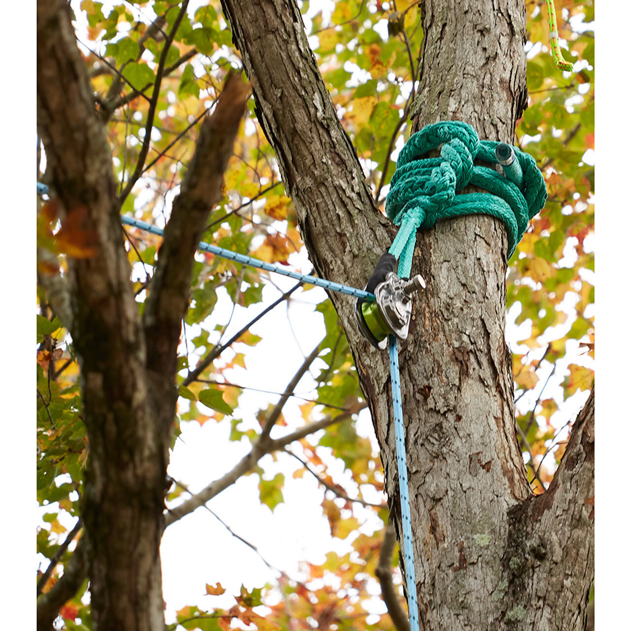 Spring Clips For Ropes And Ropes Notch 3/4
