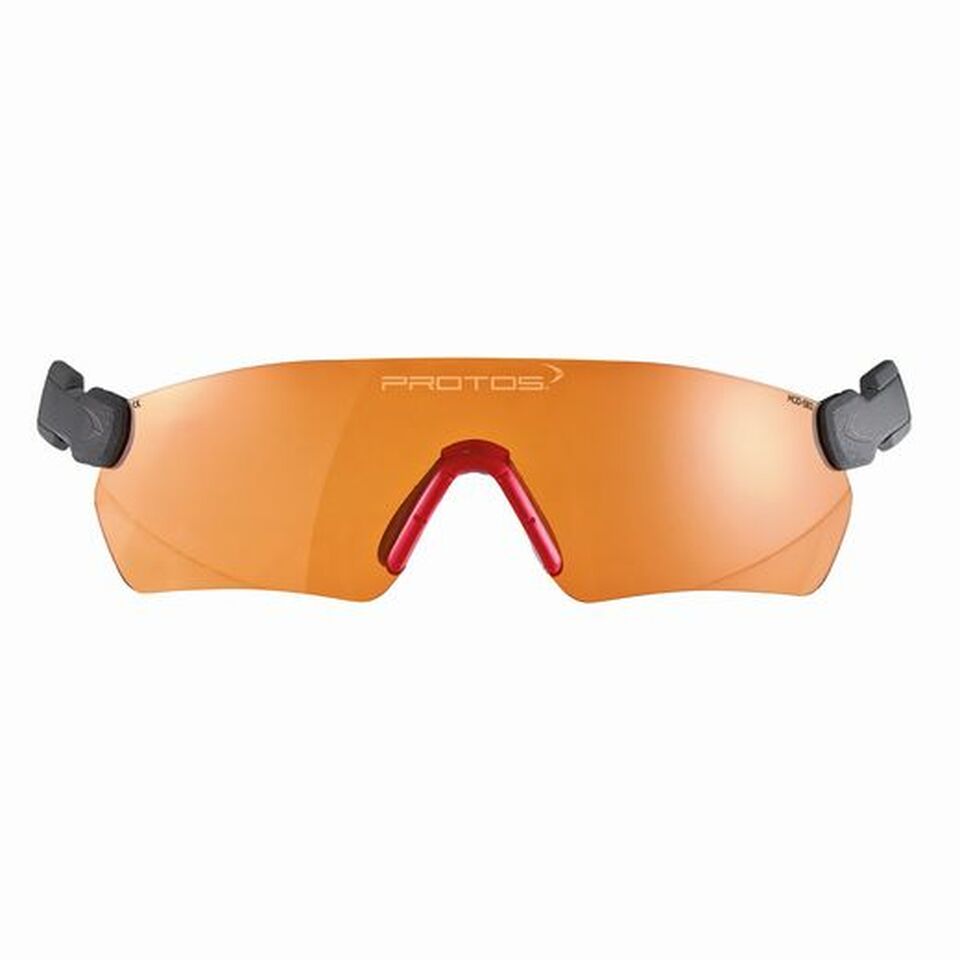 Pfanner Protos Integrated Glasses